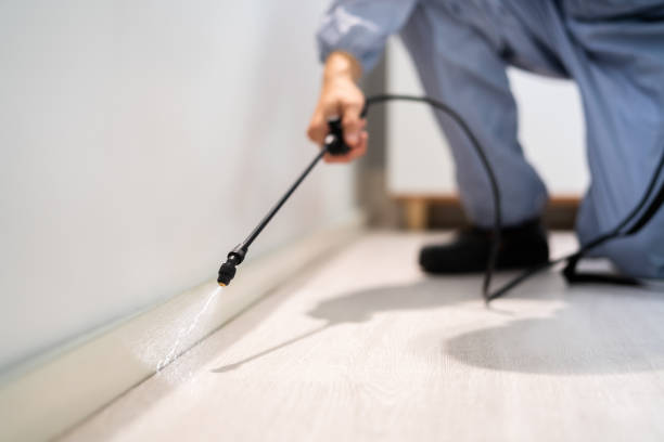 Certified termite inspector examining foundation in North Lakeville
